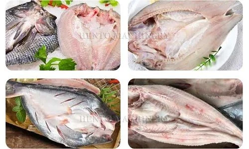 product-500-300 fish back open machine(001)